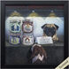 Animals 11 X 11 inch Non-Glass Framed Art, Propac
