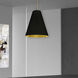 Anaya 1 Light 20 inch Aged Brass Pendant Ceiling Light in Black/Gold Jewel Tone, Medium