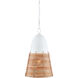 Arundo 1 Light 13.75 inch Gesso White/Natural Rattan Pendant Ceiling Light