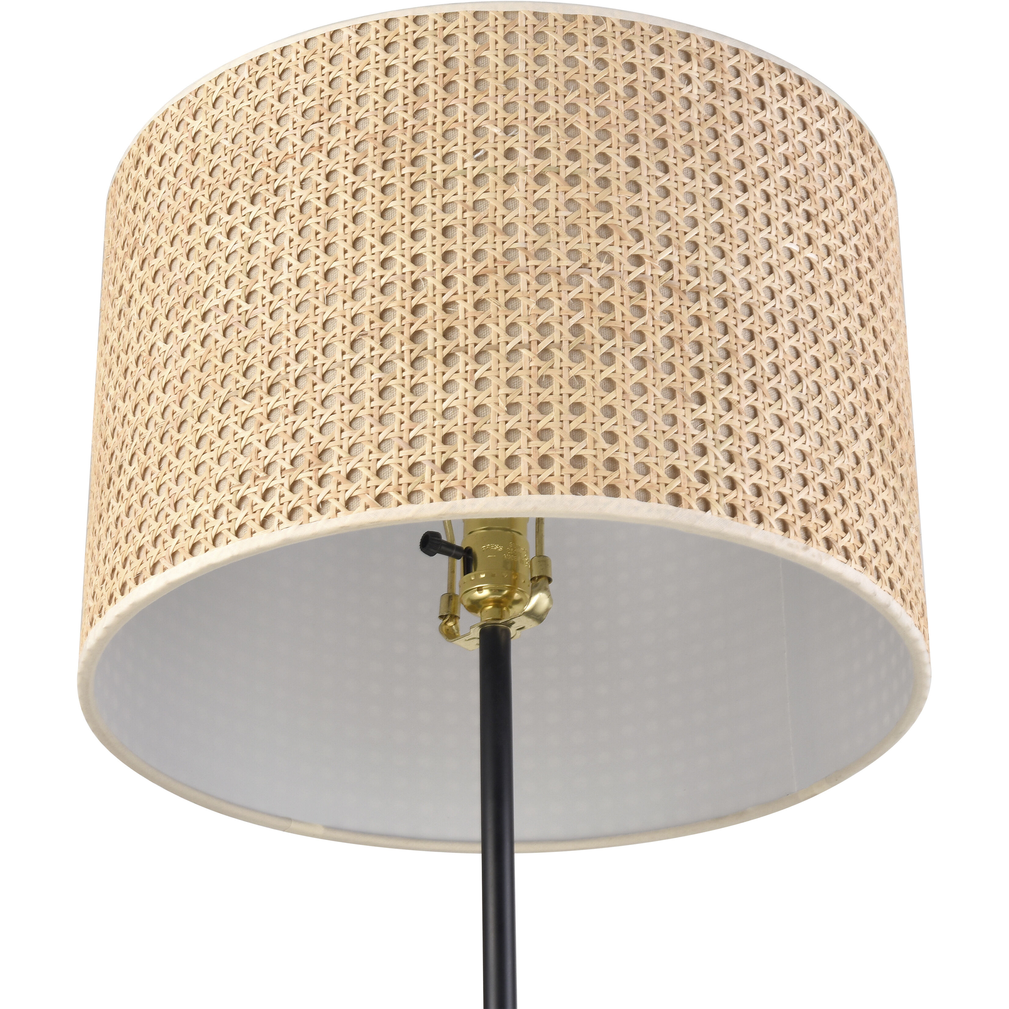 Baitz 62.5 inch 150 watt Matte Black Floor Lamp Portable Light