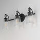 Jackson Hole 3 Light 23.5 inch Black Bath Vanity Light Wall Light in Clear