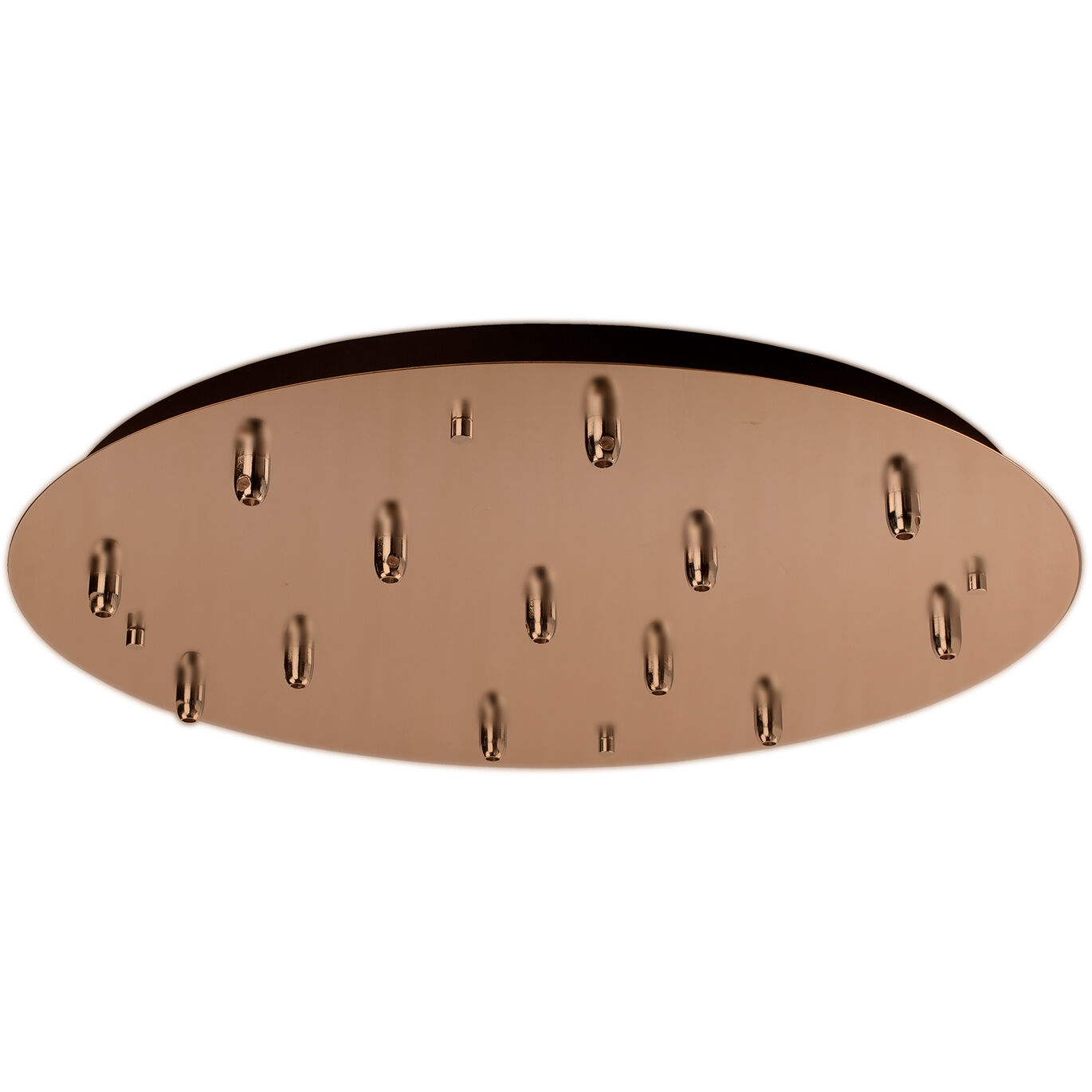 Las Vegas 1 Light Lighting Accessory