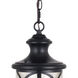 Magnolia LED 7.5 inch Oil Rubbed Bronze Outdoor Pendant