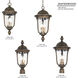 Havenwood 3 Light 9.5 inch Tavira Bronze And Alder Silver Outdoor Hanging Light, The Great Outdoors