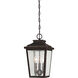 Irvington Manor 3 Light 8.5 inch Chelesa Bronze Outdoor Chain Hung Lantern in Incandescent, Clear Seeded Glass, The Great Outdoors