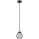 Palmorla 1 Light 6.25 inch Black and Natural Wood Pendant Ceiling Light