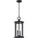 Broadstone 2 Light 8.63 inch Matte Black Outdoor Hanging Light