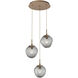Aster LED LED Novel Brass Chandelier Ceiling Light, Round Multi-Pendant
