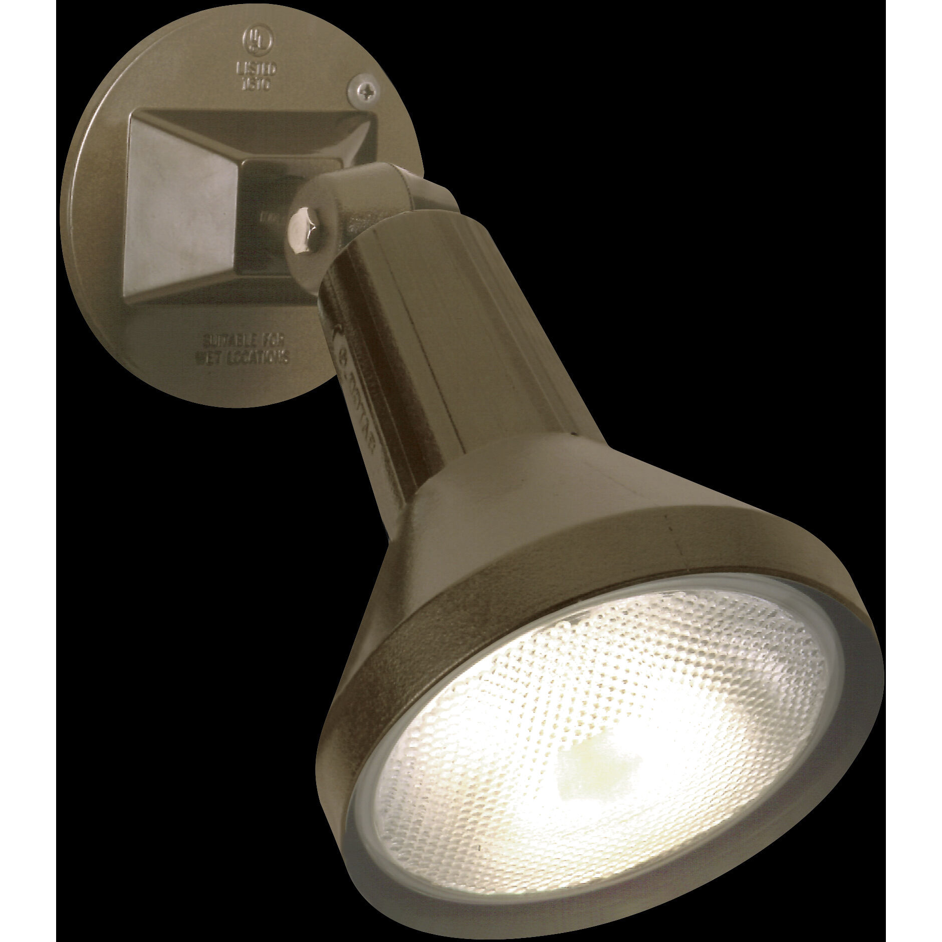 Brentwood 1 Light 5 inch Bronze Outdoor Flood Light