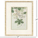 Kosumosu Green and Multi and Rust and Yellow Framed Art