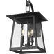 Rainer Outdoor Wall Light in Black, G9