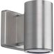 Cylinders Outdoor Wall Mount Downlight Cylinder in Satin Nickel, Progress LED