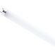 Lumos LED G13 Medium Bi Pin 11 watt 5000K LED T8