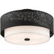 Noria 4 Light 20 inch Black Semi Flush Ceiling Light