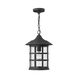 Freeport LED 10 inch Black Outdoor Hanging Light