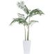 Palms White Botanical, Lush Greenery