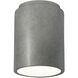 Radiance Cylinder LED 6.5 inch Antique Silver Outdoor Flush-Mount