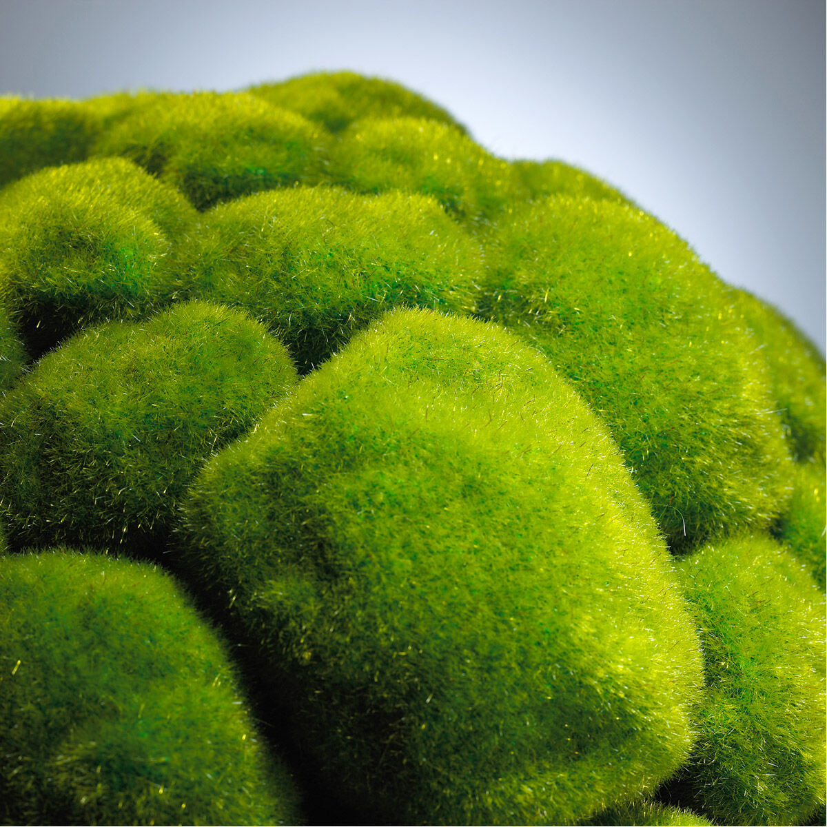 Moss Moss Green Sphere, Large