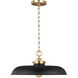 C&M by Chapman & Myers Wellfleet 1 Light 20 inch Midnight Black and Burnished Brass Pendant Ceiling Light in Midnight Black / Burnished Brass