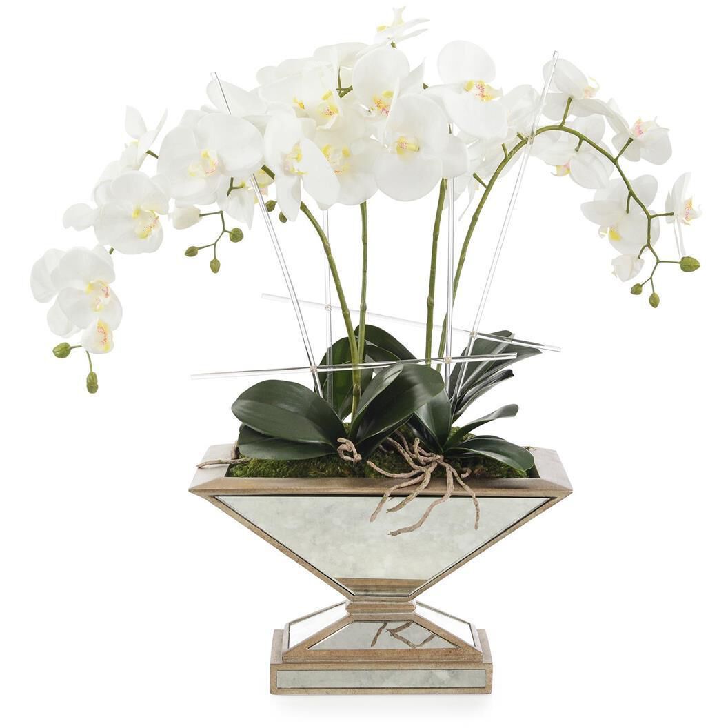 Pleasing Phalaenopsis Botanical, Permanent Florals