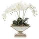 Pleasing Phalaenopsis Botanical, Permanent Florals