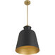 Holloway 1 Light 15 inch Legacy Brass and Dark Matte Black Pendant Ceiling Light