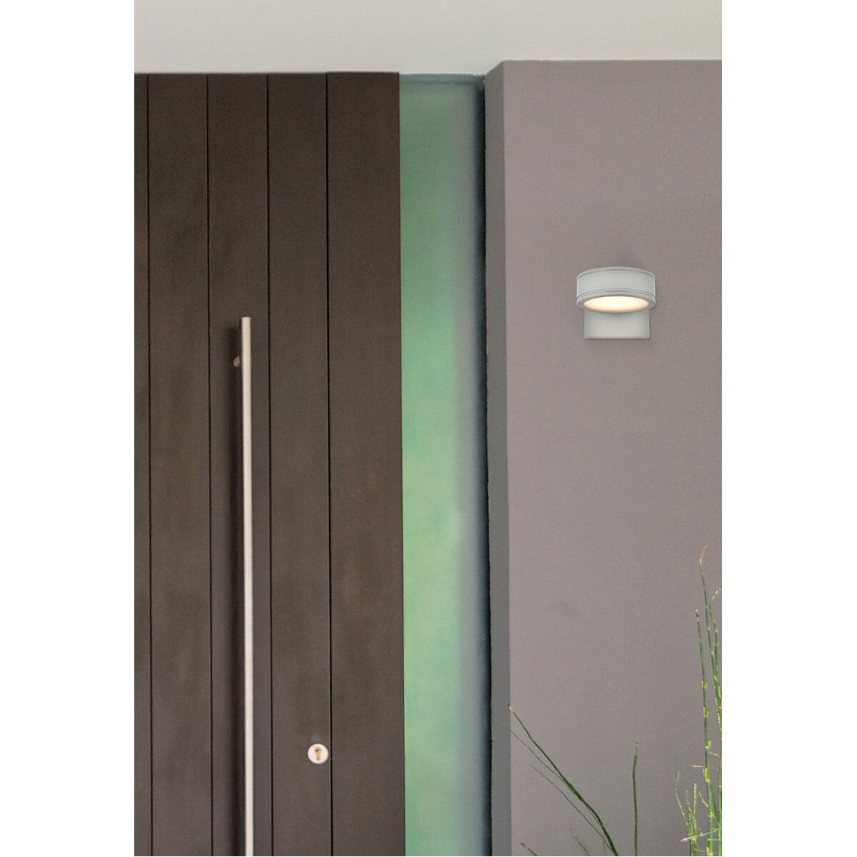 Raine 4.5 inch Silver Outdoor Wall Light