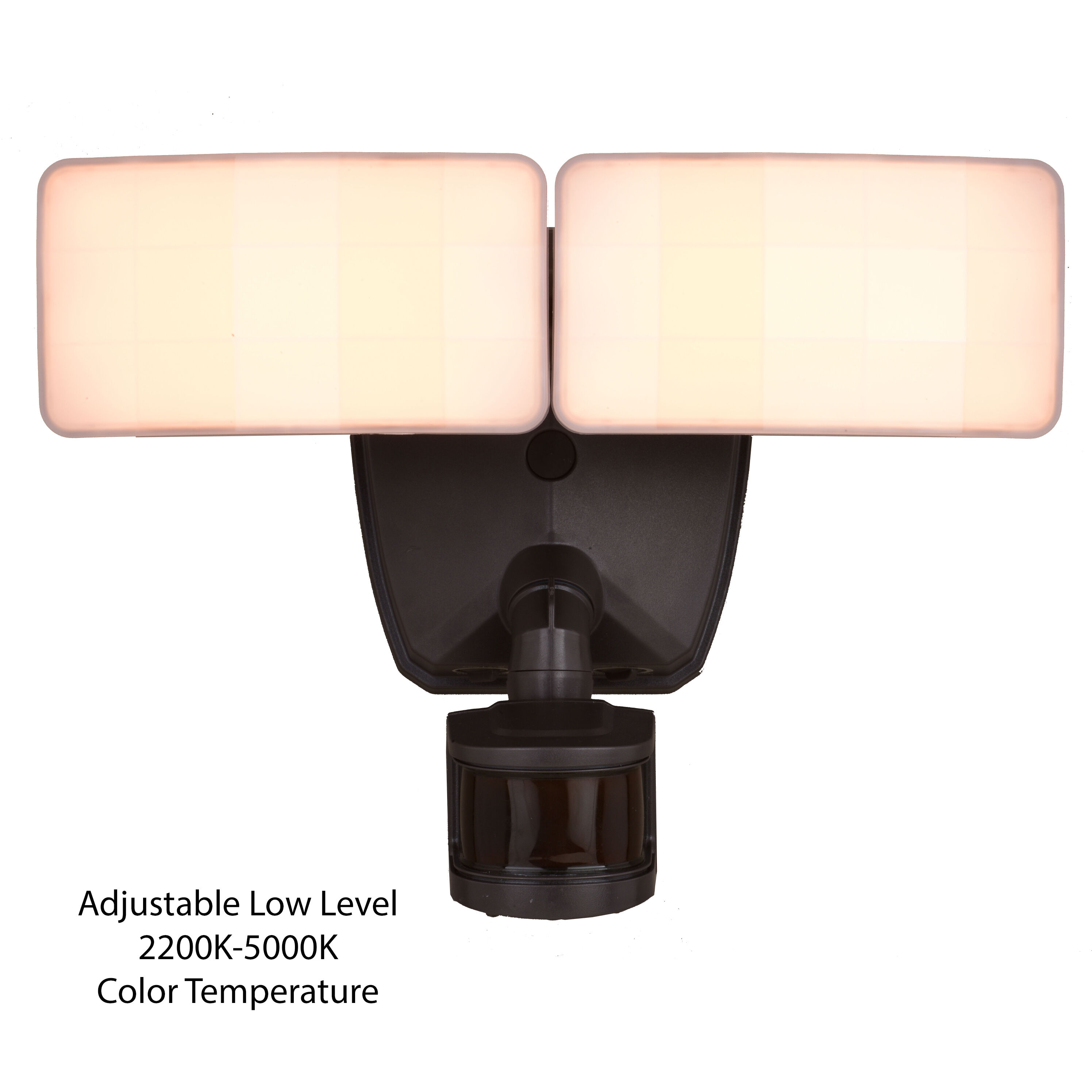 Zeta LED 8 inch Bronze Outdoor Security