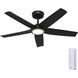 Zentech 44 inch Matte Black Outdoor Ceiling Fan