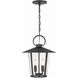 Andover 4 Light 14 inch Matte Black Outdoor Pendant in Clear