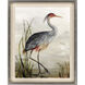 Heron Study 14220 Blue and Gray and Red and Green Framed Art