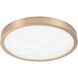 Argyle LED 16 inch Champagne Gold Flush Mount Ceiling Light