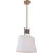 Parker 1 Light 10.43 inch Fired Steel/Satin Brass Pendant Ceiling Light