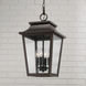 Chandler 4 Light 12 inch Oiled Bronze Outdoor Hanging Lantern