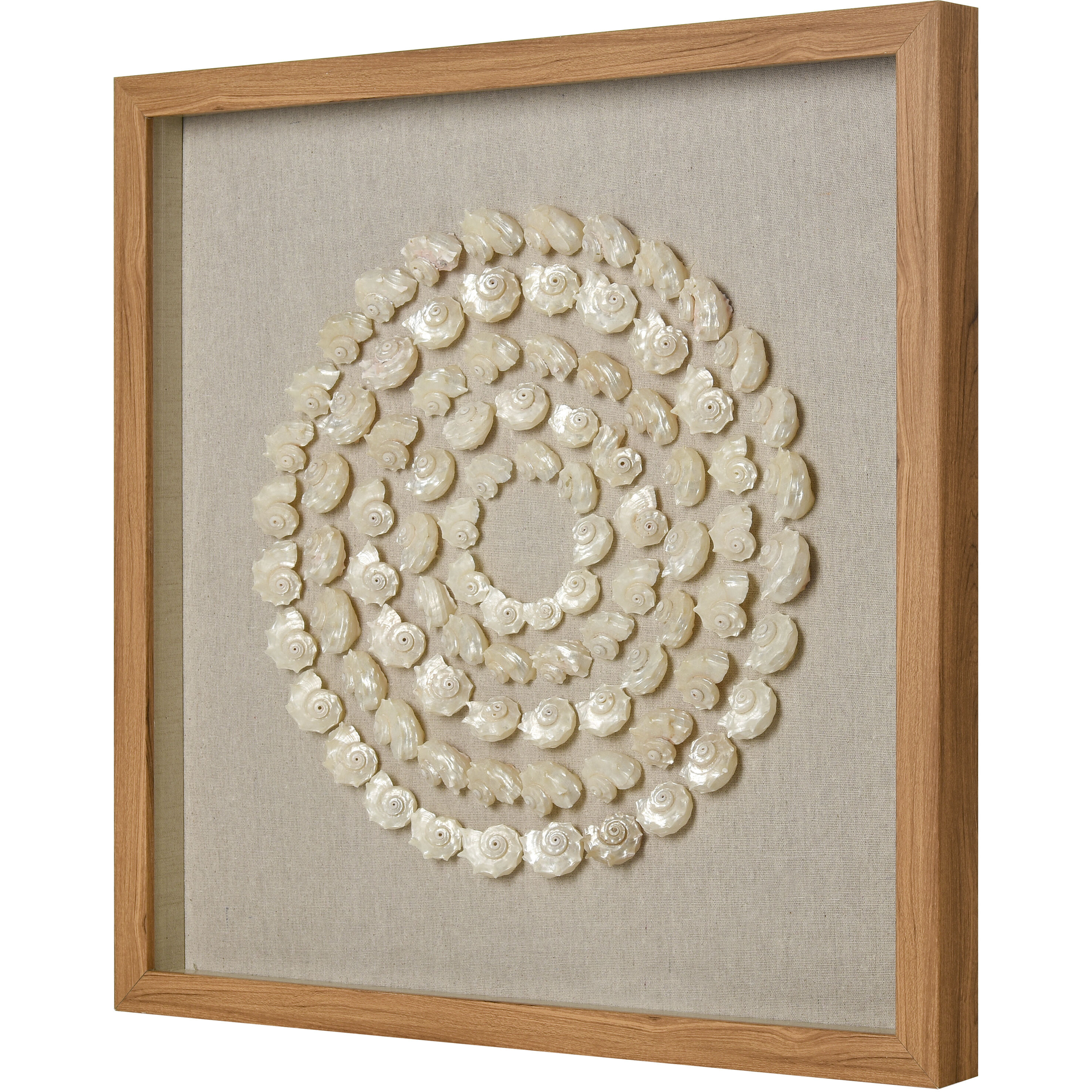 Concentric Shell Natural with Wood Tone and Clear Dimensional Wall Art