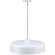 Forbidden Springs LED 20 inch Matte White Down Pendant Ceiling Light