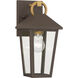 Bayra 1 Light 13 inch Painted Legacy Brass and Dark Bronze Outdoor Wall Lantern