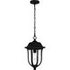 Mulberry 1 Light 9 inch Matte Black Outdoor Hanging Lantern