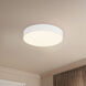 Rynn 5.25 inch White Flush Mount Ceiling Light