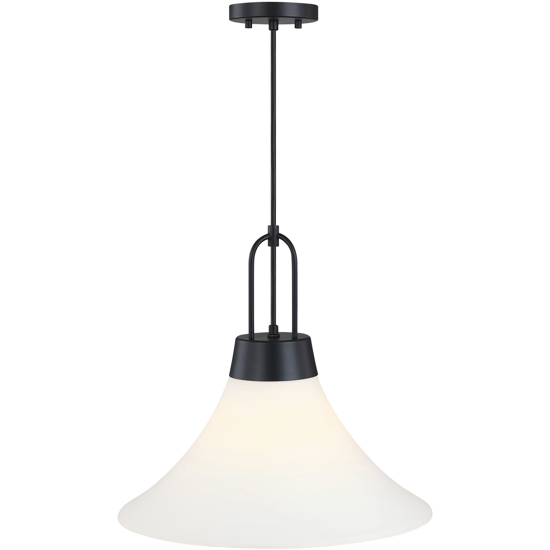 Evergreen Oasis LED 18 inch Matte Black Down Pendant Ceiling Light