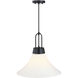 Evergreen Oasis LED 18 inch Matte Black Down Pendant Ceiling Light