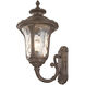 Oxford 1 Light 18 inch Imperial Bronze Outdoor Wall Lantern