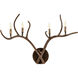 Hill County 4 Light Rustic Bronze Wall Sconce Wall Light