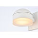 Raine Outdoor Wall Light in White