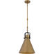 Fenric 1 Light 13.75 inch Legacy Brass and Dark Bronze Pendant Ceiling Light