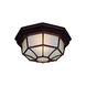 FM 2 Light 12 inch Burled Walnut Exterior Flushmount