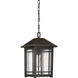 Cedar Point 1 Light 10 inch Palladian Bronze Outdoor Hanging Lantern