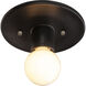 Radiance Collection 1 Light 8 inch Carbon Matte Black Flush Mount Ceiling Light
