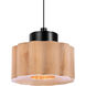 Kao LED Black Pendant Ceiling Light