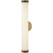 Ames LED 4.5 inch Lacquered Brass and Black Vanity Light Wall Light